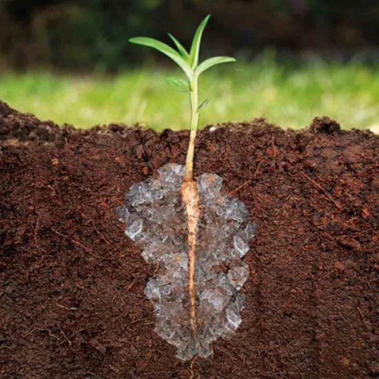 Potassium-Polyacrylate-Hydrogel-for-Plants-Super-Absorb-Polymer-for-Agriculture_webp